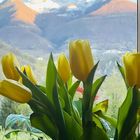 Casa Brencio Frühstückspension *