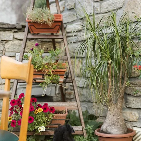 Bed and breakfast Casa Brencio Masera