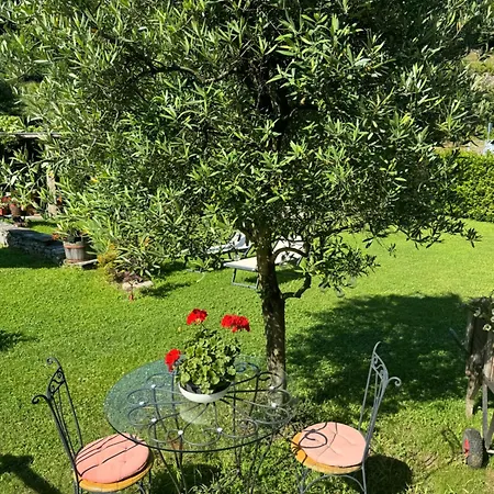 Casa Brencio Bed and breakfast Masera