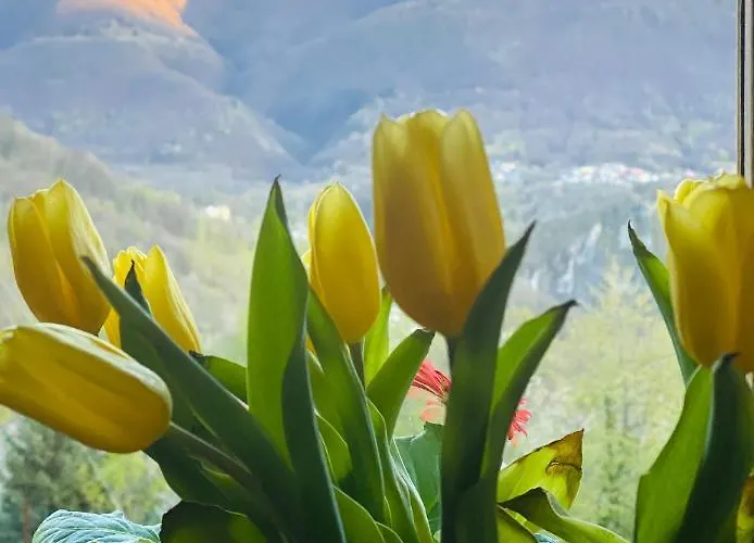 Casa Brencio Oda ve Kahvaltı 3*