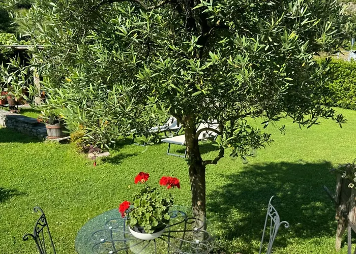 Casa Brencio Oda ve Kahvaltı Masera